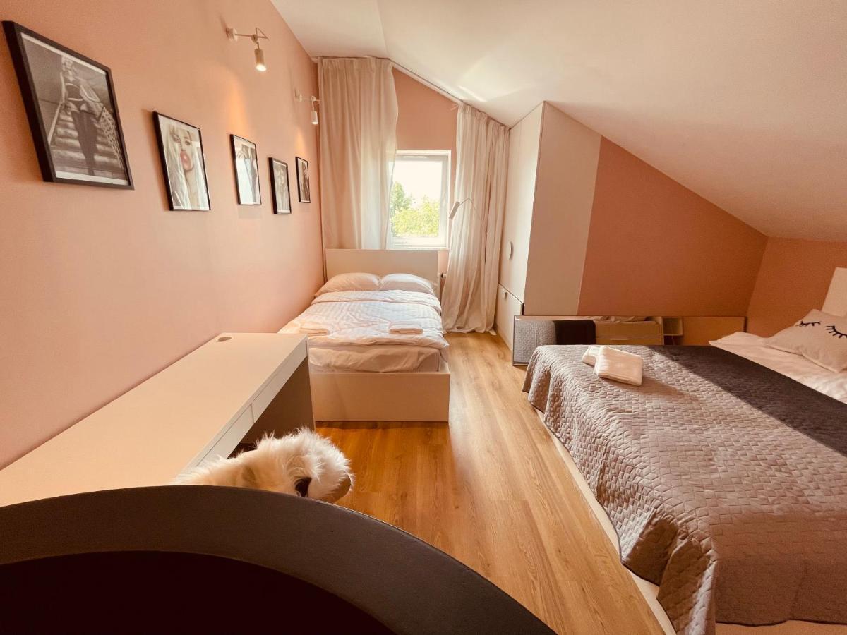 Apartamenty Ktw Penthouse Z Tarasem カトヴィツェ エクステリア 写真