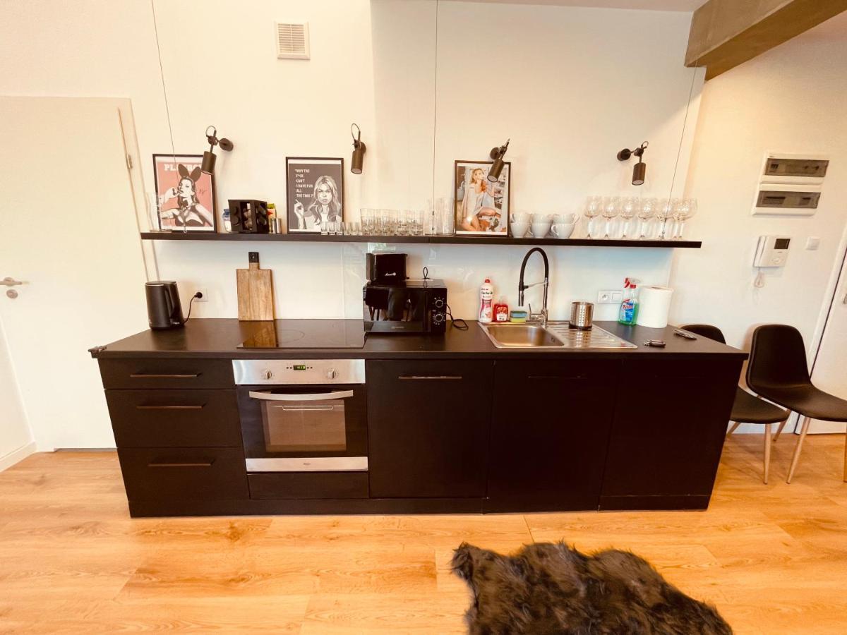 Apartamenty Ktw Penthouse Z Tarasem カトヴィツェ エクステリア 写真
